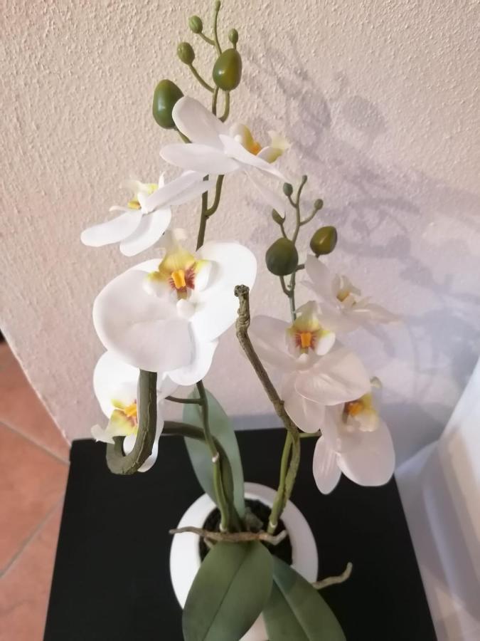 莱里奇Perla Del Golfo公寓 外观 照片